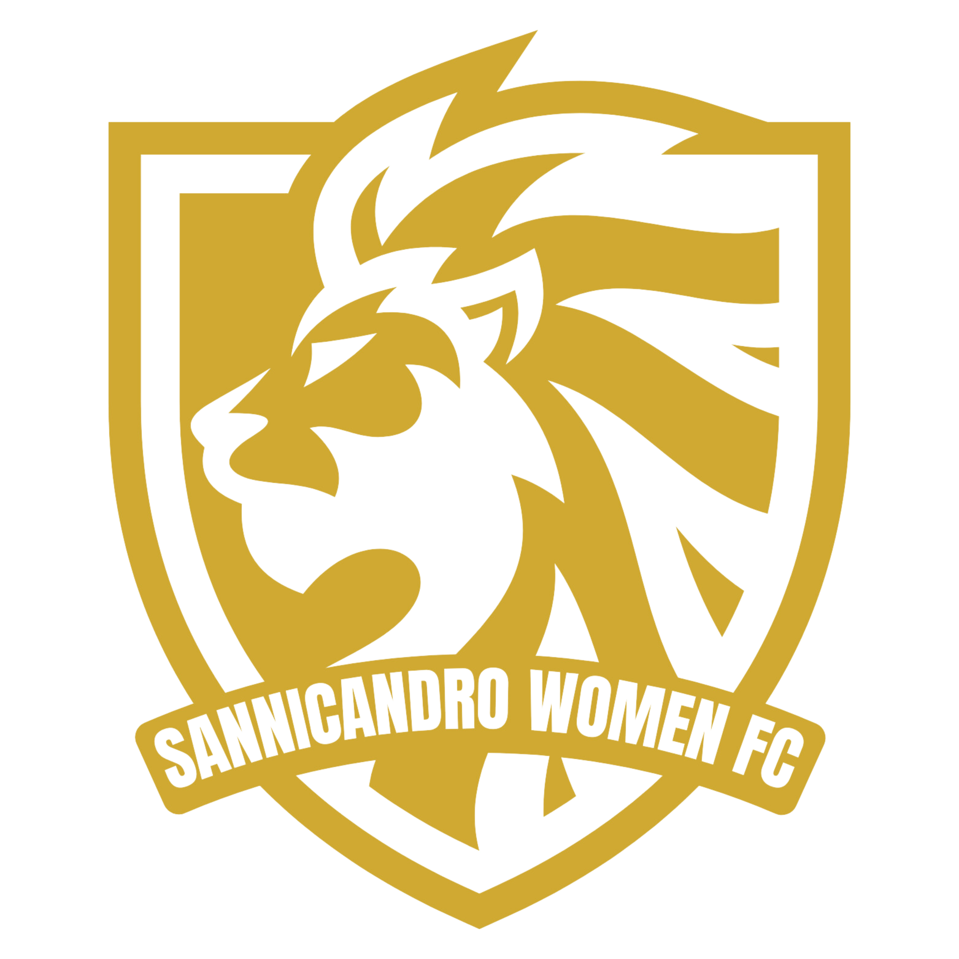 ASD CALCIO IN ROSA SANNICANDRO